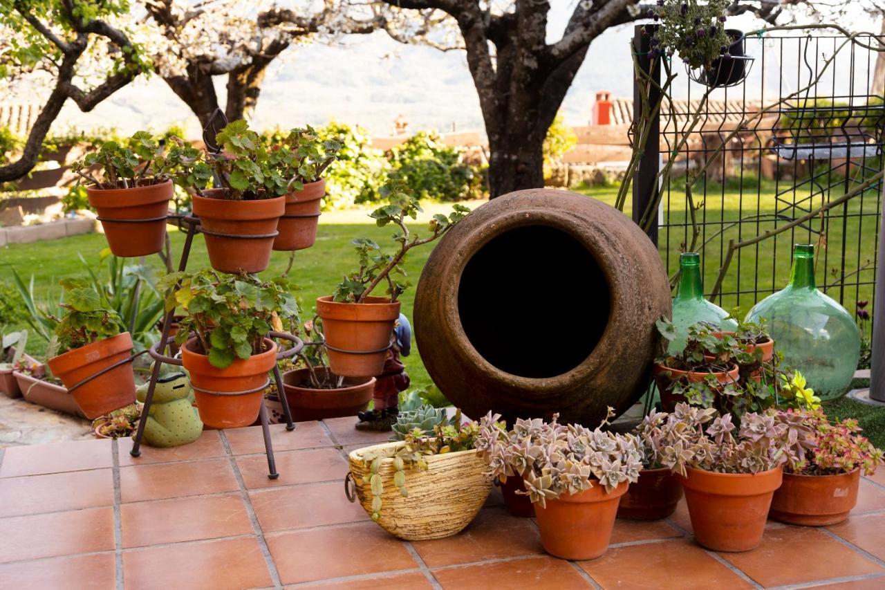 La Higuera Villa Villarejo del Valle ภายนอก รูปภาพ